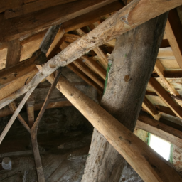 La charpente bois : techniques et savoir-faire du charpentier à Sartrouville